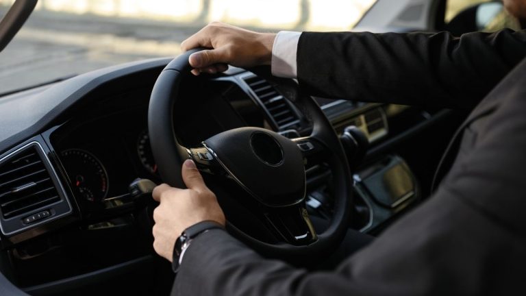 سائق سياحي في مصر